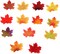 Separated Fake Fall Leaves Artificial (Multiple Colors) 0.12"D x 2.95"W x 2.36"H